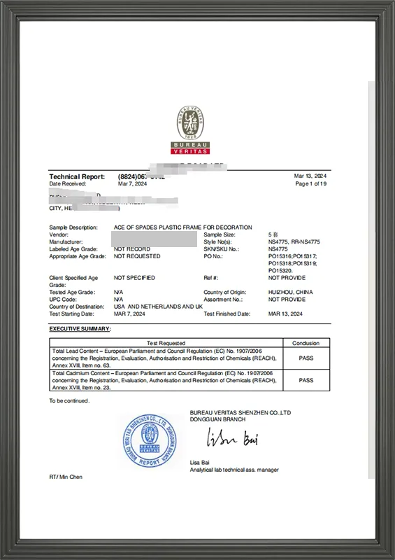 Bureau Veritas Technical Report